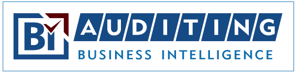 bi_auditing_business_logo